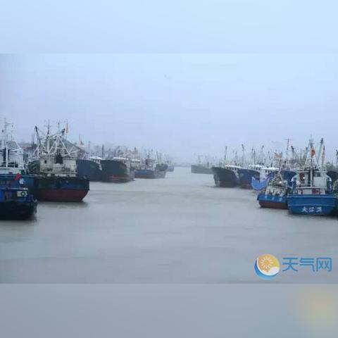 台风最新动态,全面详细报告来袭