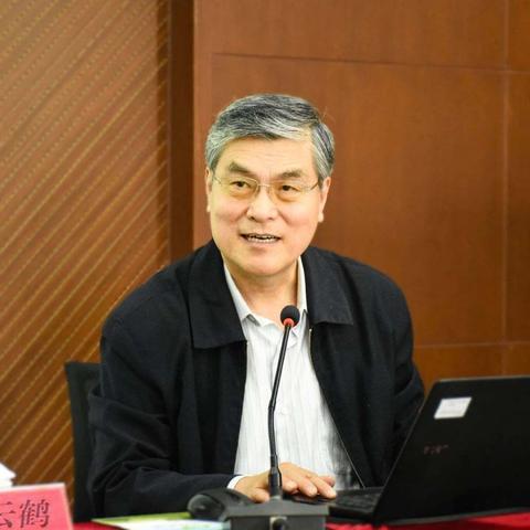 最新疫情感悟,数字背后的故事与深层启示