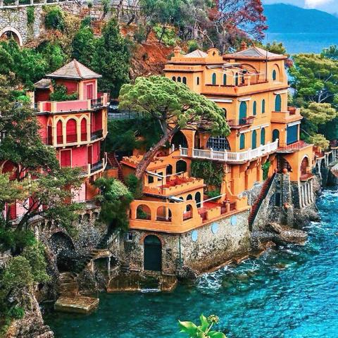 神选之主最新动态深度解析