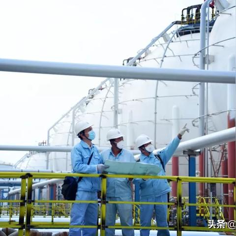 荿名疫情最新报告发布