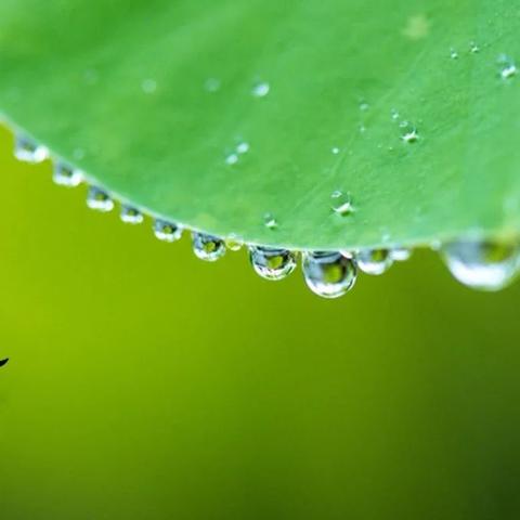 久热伊人时尚洞察，高温下的时尚与生活趋势