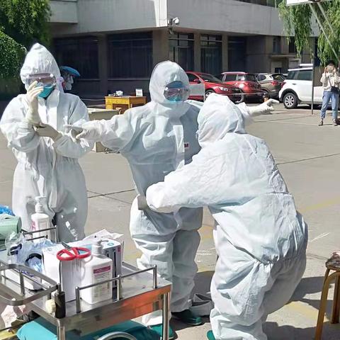 鼠疫最新章节,疫情控制与科研进展速览