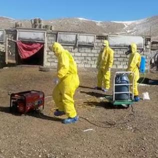 鼠疫最新章节,疫情控制与科研进展速览