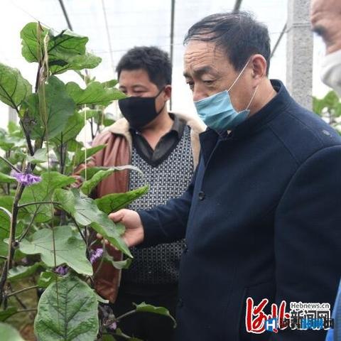 衡水地区肺炎疫情最新通报