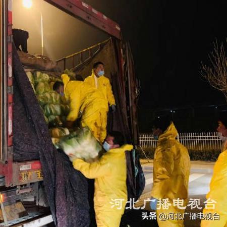 衡水地区肺炎疫情最新通报