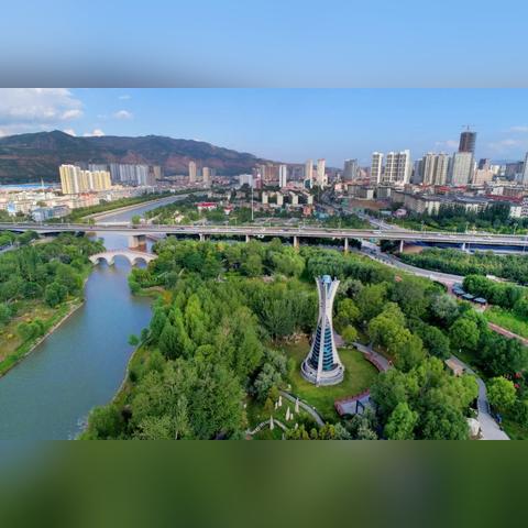 探索自然界神奇鸟类,新奇品种揭秘