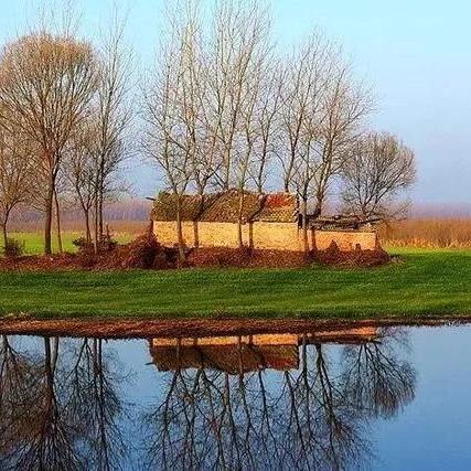 探索自然界神奇鸟类,新奇品种揭秘