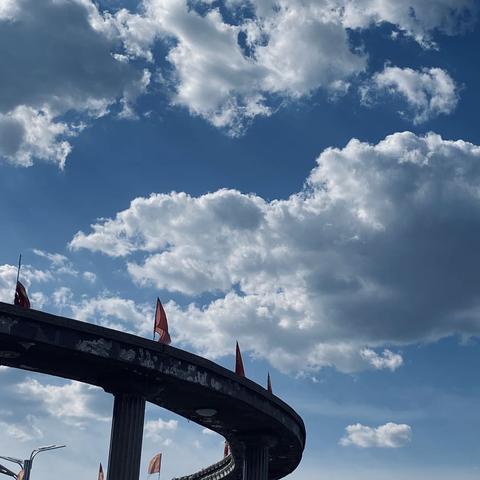 黑市最新发展报告概览