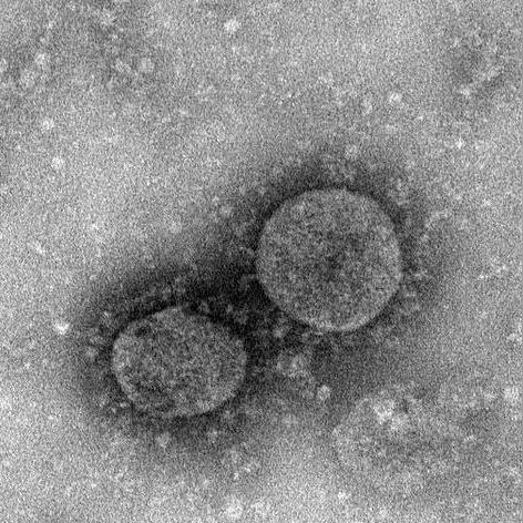 美国视角下的中国深度数据解析报告