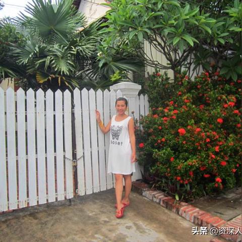 新天堂数字时代全新面貌及未来展望