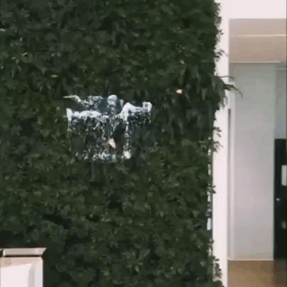 科技巨头引领股市新动向，最新事件分析