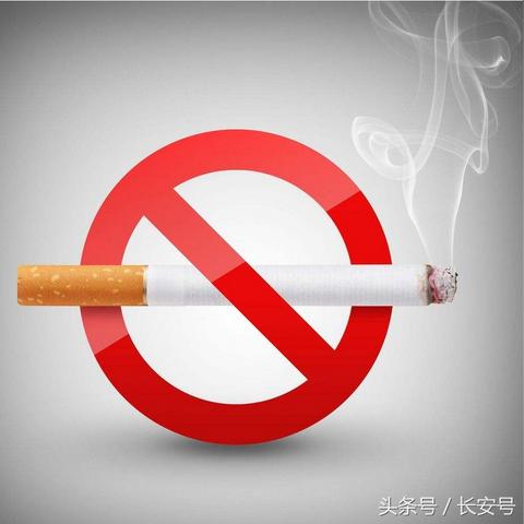 禁烟标识最新动态趋势深度解析