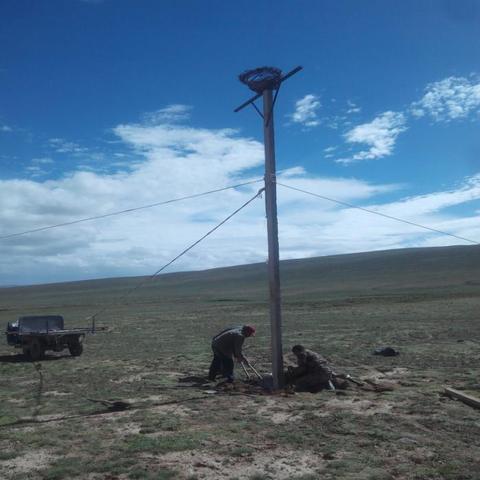 最新灭鼠标准，全面控制鼠害，守护生活环境