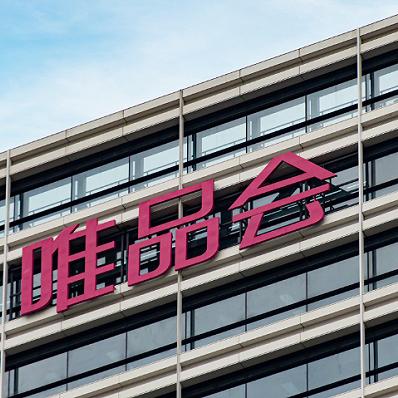 唯品会电商巨头崛起背后的数字动态分析