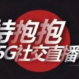 唯品会电商巨头崛起背后的数字动态分析