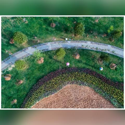 红色仕途最新章节更新速递