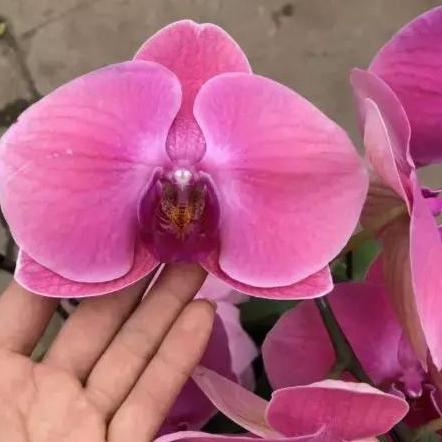 红色仕途最新章节更新速递