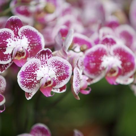 红色仕途最新章节更新速递