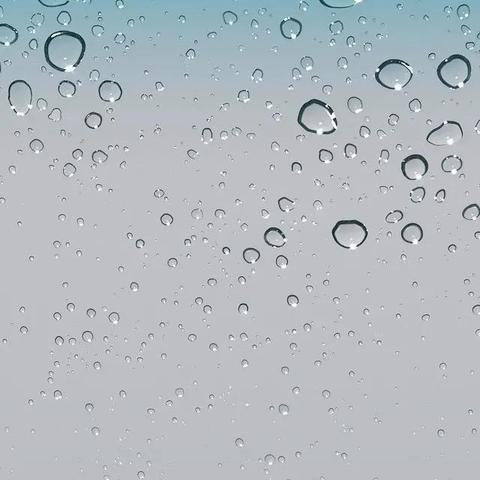 iPhone 6最新报价及购买指南，全面解析价格走势与购买建议