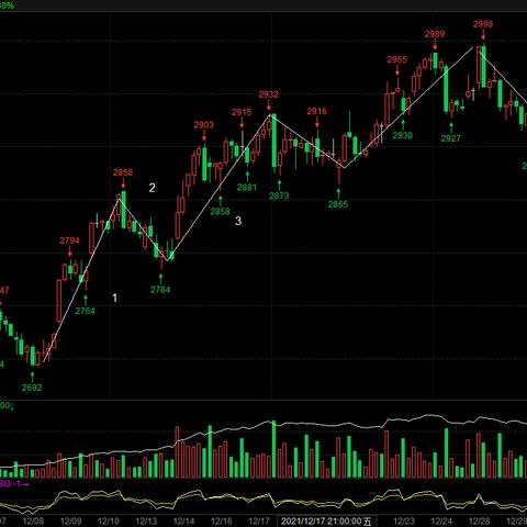 菜粕现货最新价格解析